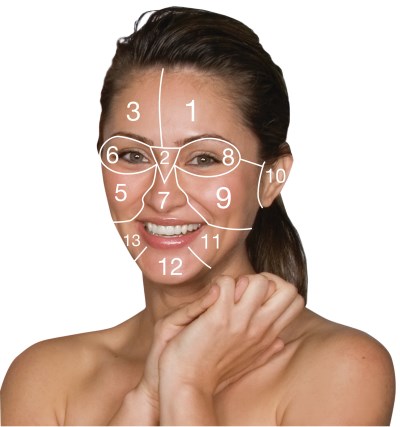Face Mapping by Dermalogica